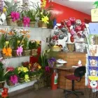 Imagem 1 da empresa A FLORA SAVASSI LTDA Floricultura em Belo Horizonte MG