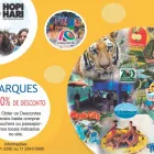 Imagem 3 da empresa CHEQUE TEATRO INGRESSOS GRÁTIS Turismo - Agências em São Paulo SP