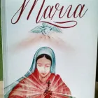 Imagem 2 da empresa DDM MUSIC Projeto em São Paulo SP