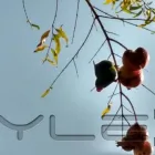 Imagem 16 da empresa ESCOLA DE EDUCAÇÃO INFANTIL BOUGAINVILLE Berçários em São Paulo Brasil