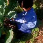 Imagem 19 da empresa ESCOLA DE EDUCAÇÃO INFANTIL BOUGAINVILLE Berçários em São Paulo Brasil