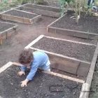 Imagem 20 da empresa ESCOLA DE EDUCAÇÃO INFANTIL BOUGAINVILLE Berçários em São Paulo Brasil