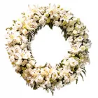 Imagem 8 da empresa FLORICULTURA E FUNERÁRIA Velórios em São Paulo SP