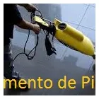 Imagem 12 da empresa FOX DEL SERVICE PORTARIA E LIMPEZA Zeladoria em São Paulo SP
