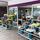 Imagem 4 da empresa FUNERÁRIA SÃO SEBASTIÃO Urnas Funerárias - Fabricantes em Recife PE