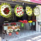 Imagem 7 da empresa FUNERÁRIA SÃO SEBASTIÃO Urnas Funerárias - Fabricantes em Recife PE