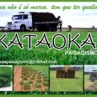 Imagem 5 da empresa GRAMA Plantas em Belém PA