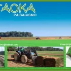 Imagem 8 da empresa GRAMA Plantas em Belém PA