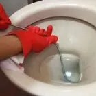 Imagem 1 da empresa HIDROSAMPA DESENTUPIDORA E DEDETIZADORA Rato em São Paulo Brasil