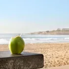 Imagem 2 da empresa HILTON RIO DE JANEIRO COPACABANA Hotéis em Rio De Janeiro RJ