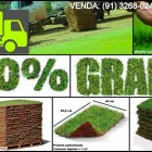 Imagem 1 da empresa KATAOKA PAISAGISMO - GRAMA ESMERALDA Zoysia Japônica em Belém PA