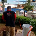 Imagem 5 da empresa MEGA® DESENTUPIDORA E DEDETIZADORA - SP Limpa-Fossas em São Paulo SP