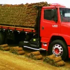 Imagem 7 da empresa PEDRAFORT LTDA Terraplenagem - Máquinas em Belo Horizonte MG