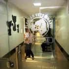 Imagem 4 da empresa PLANTÃO VETERINÁRIO HOSPITAL Veterinários em Recife PE