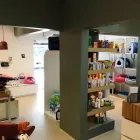Imagem 5 da empresa PLANTÃO VETERINÁRIO HOSPITAL Veterinários em Recife PE