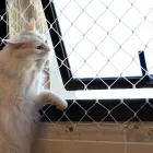 Imagem 6 da empresa REDES DE PROTEÇÃO Redes De Proteção em São Paulo SP