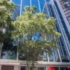 Imagem 7 da empresa REGUS - RIO DE JANEIRO, RIO BRANCO CARIOCA Co-Working em Rio De Janeiro RJ