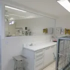 Imagem 2 da empresa SMILE4PETS - ODONTOLOGIA VETERINÁRIA E ESPECIALIDADES VETERINÁRIAS Veterinários - Oftalmologia em São Paulo SP