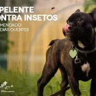 Imagem 8 da empresa UPVET BH Veterinario em Belo Horizonte MG