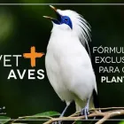 Imagem 11 da empresa UPVET BH Veterinario em Belo Horizonte MG