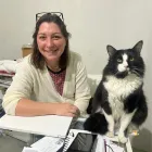 Imagem 1 da empresa VIDAPET - VETERINÁRIO NO IPIRANGA - DRA. FABIANA C. FARIA Veterinários em São Paulo SP