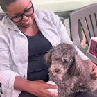 Imagem 4 da empresa VIDAPET - VETERINÁRIO NO IPIRANGA - DRA. FABIANA C. FARIA Veterinários em São Paulo SP