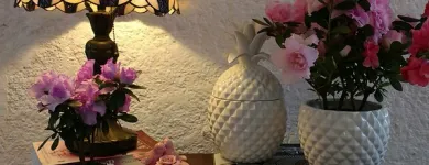 Imagem 4 da empresa CAVALLAZZI DECORACÃO RETRÔ Presentes em Recife PE