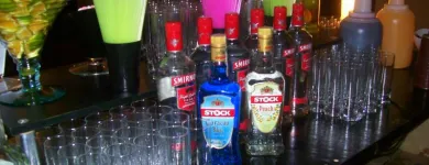 Imagem 5 da empresa LIVE SHOW BAR Festas e Eventos - Organização em Guara DF