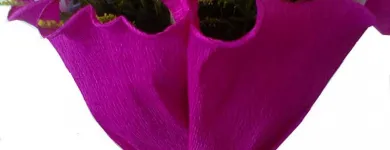 Imagem 2 da empresa ORNATTOS FLORES Presentes em Recife PE