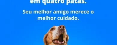 Imagem 3 da empresa PET HOME PET SHOP Pet Shop em Campo Grande MS