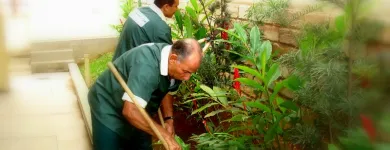Imagem 6 da empresa PRIMAR CONSERVADORA SLM LTDA Prestaçao De Serviços em Belo Horizonte MG