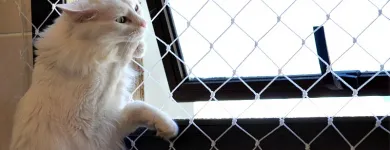 Imagem 6 da empresa REDES DE PROTEÇÃO Redes De Proteção em São Paulo SP