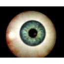 PRÓTESE OCULAR BRASIL RIO DE JANEIRO Óticas - Armações e Lentes - Atacado e Fabricação em Rio De Janeiro RJ