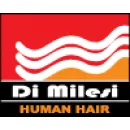 DI MILESI Cabelos Naturais - Compra e Venda em Rio De Janeiro RJ