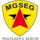 SEG VIGILÂNCI