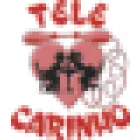 TELE CARINHO FLORICULTURA