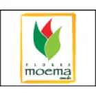 FLORES MOEMA