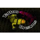 TATTOO DREAMS TATUAGENS & PIERCING S/C LTDA