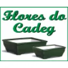 FLORES DO CADEG